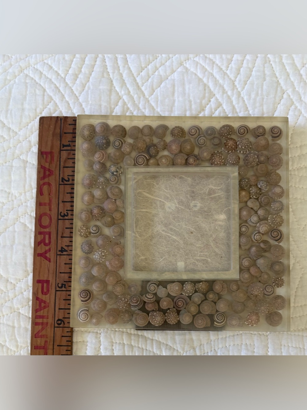 Seashell Acrylic Picture Frame 🐚 - Picture 7 of 12